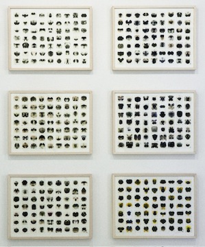 <h3>MICHELLE STUART</h3>
						<h4><em>Morphology of Genetic Complexity: <br />
						The Silence in Nature 1-6</em></h4>
						2008</br>Encaustic on paper</br>
						18 x 24 inches each</br>
                        